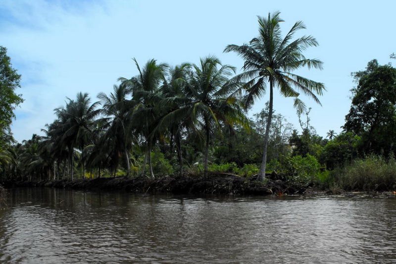 Sri Lanka, Colombo, River safari